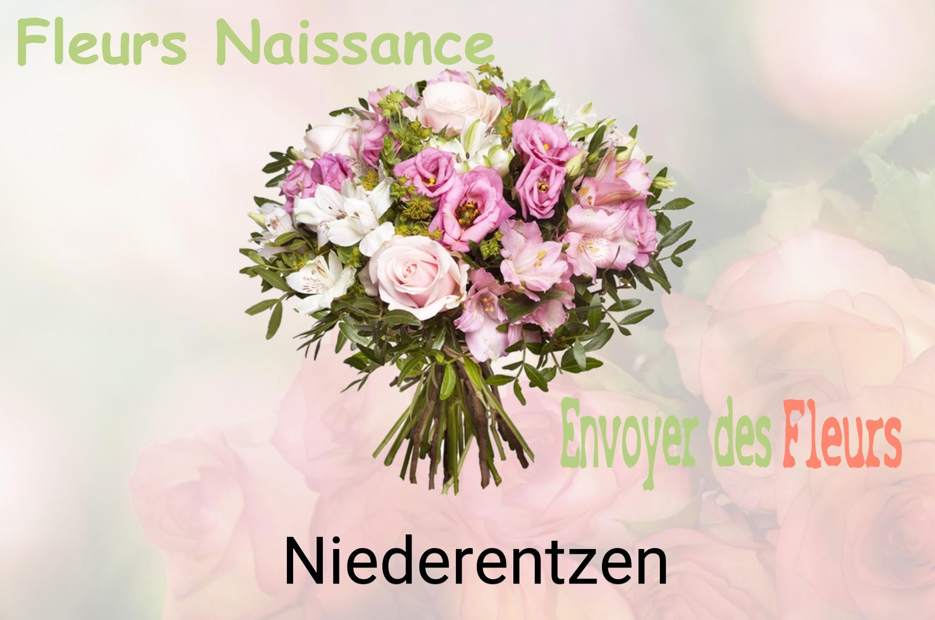 Bouquet de fleurs de naissance livré à Niederentzen